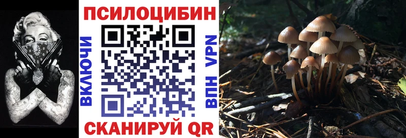 Галлюциногенные грибы GOLDEN TEACHER  дарнет шоп  Борисоглебск 