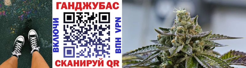 Шишки марихуана индика  где найти наркотики  Борисоглебск 